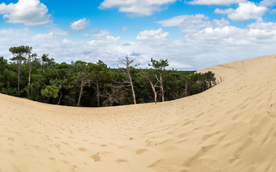 Découvrez le banc d’Arguin, joyau sauvage préservé du Bassin d’Arcachon