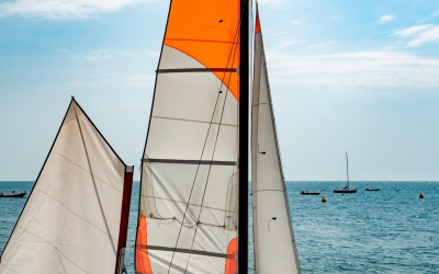 Banc d’arguin joyau sauvage aux oiseaux migrateurs et dunes