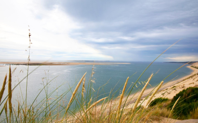 Dune du pilat: sommet de sable entre océan et forêt