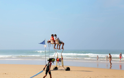 Évasion sur les plages envoûtantes du bassin d’arcachon